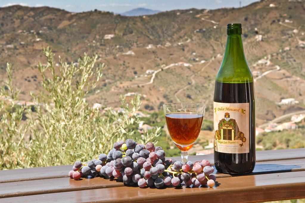 Villa Andalucia 康佩塔 外观 照片