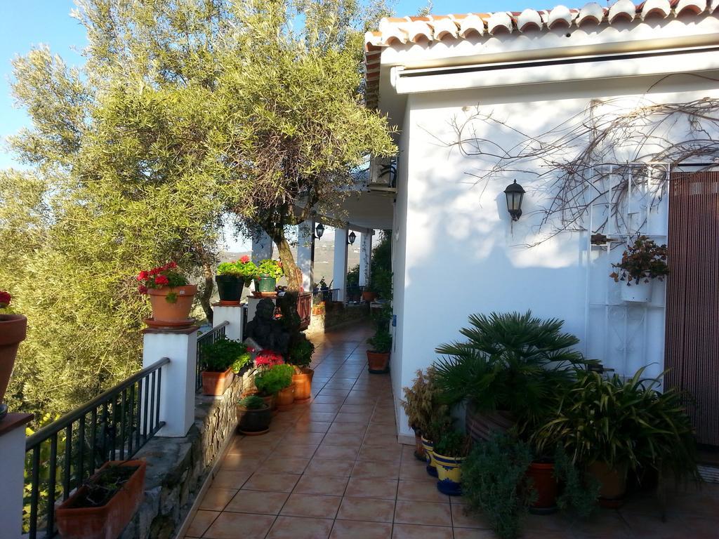 Villa Andalucia 康佩塔 客房 照片